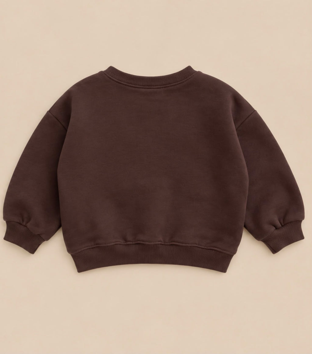 Babyccino Sweater - chocolade bruin